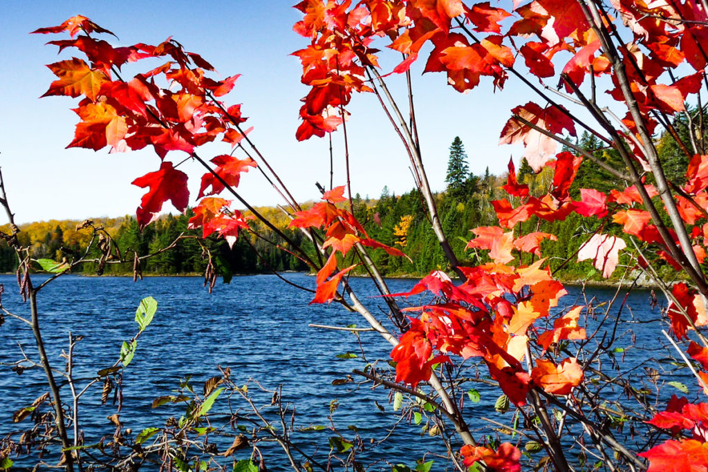 Couleurs d'automne au Parc de la Mauricie